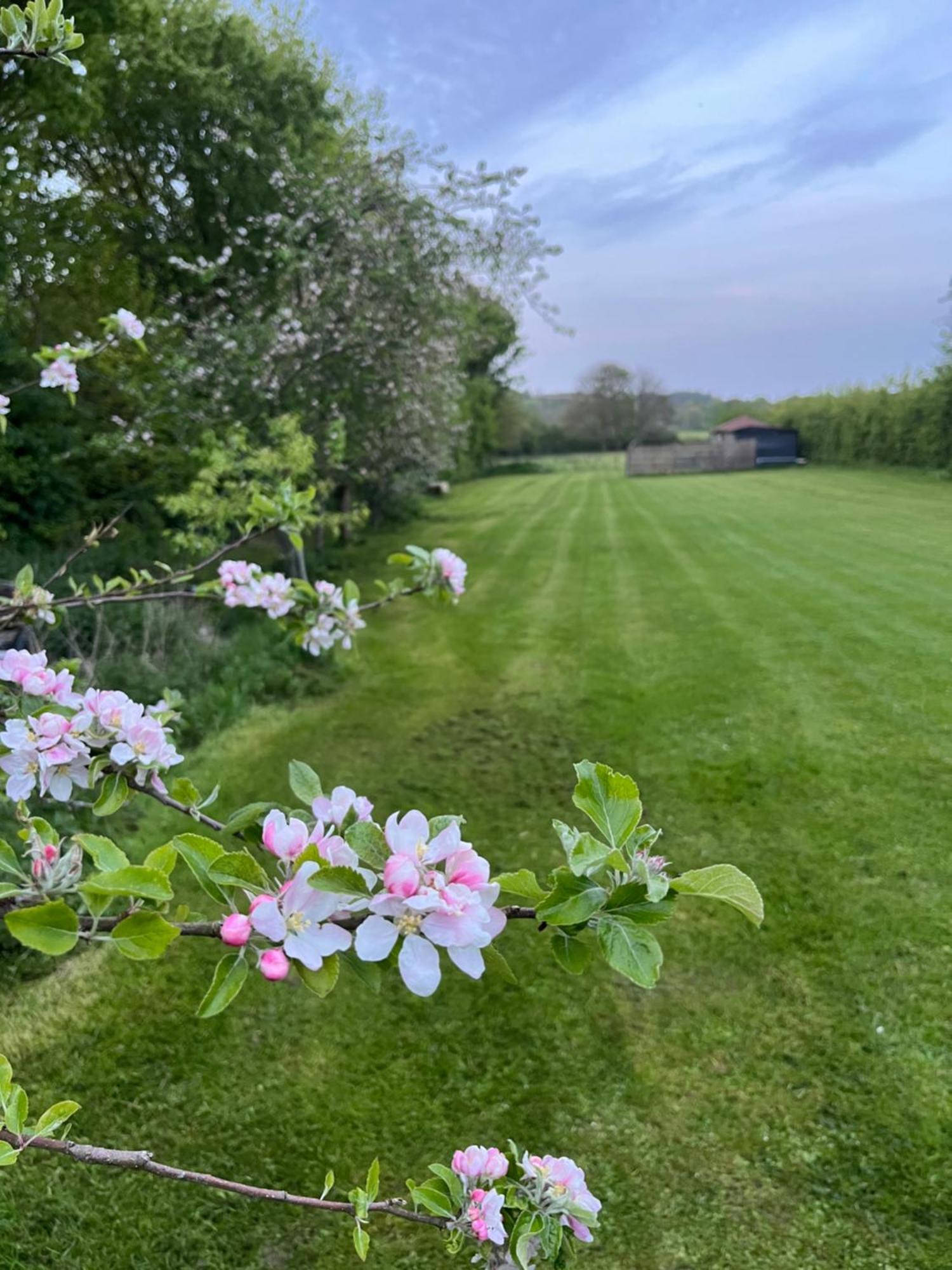 Gorgeous Countryside